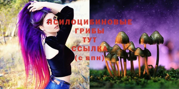 метамфетамин Аркадак