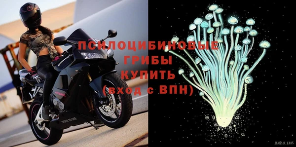 стафф Армянск